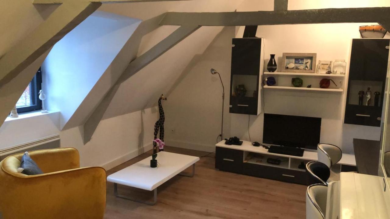 Logement Avec Deux Appartements Sur Deux Etages Wormhout 外观 照片